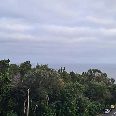 Apartment Desertas View *