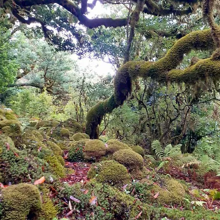 Apartman Desertas View Machico