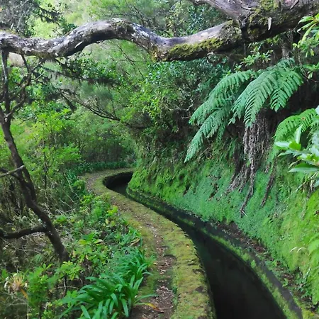 Apartment Desertas View *