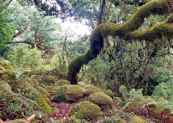 Апартаменты Desertas View Машику