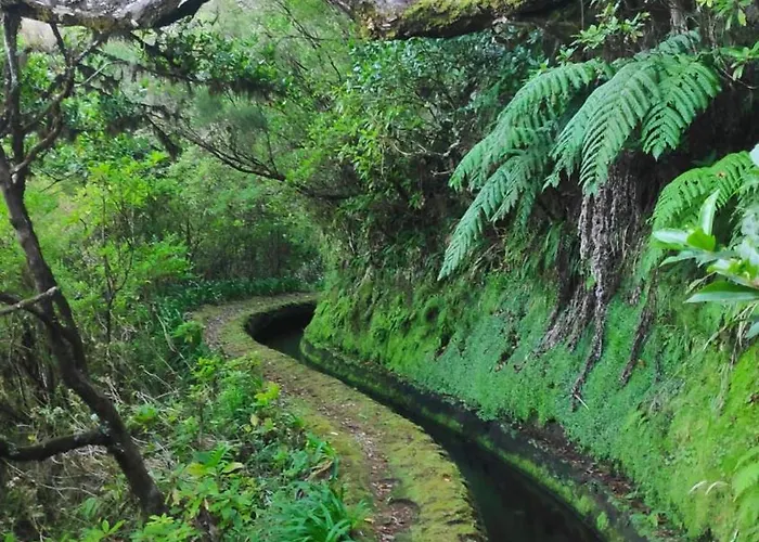 Apartamento Desertas View *