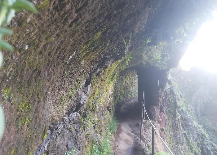 Апартаменты Desertas View *